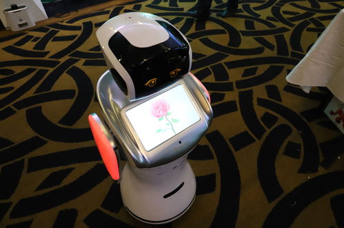 順應(yīng)時(shí)代，點(diǎn)燃夢想 騰瑪人工智能新品發(fā)布會暨開業(yè)盛典